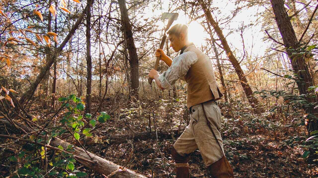 Best Tree Trimming Near Me  in Wells Branch, TX